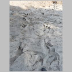 DSCN0784cr SW area.jpg